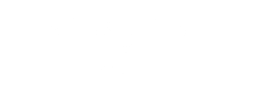 Aqua Bay Swim Co