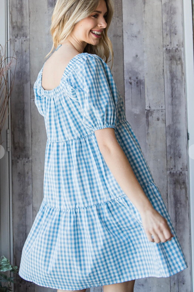 Marley Gingham Cotton Dress - Size 3X